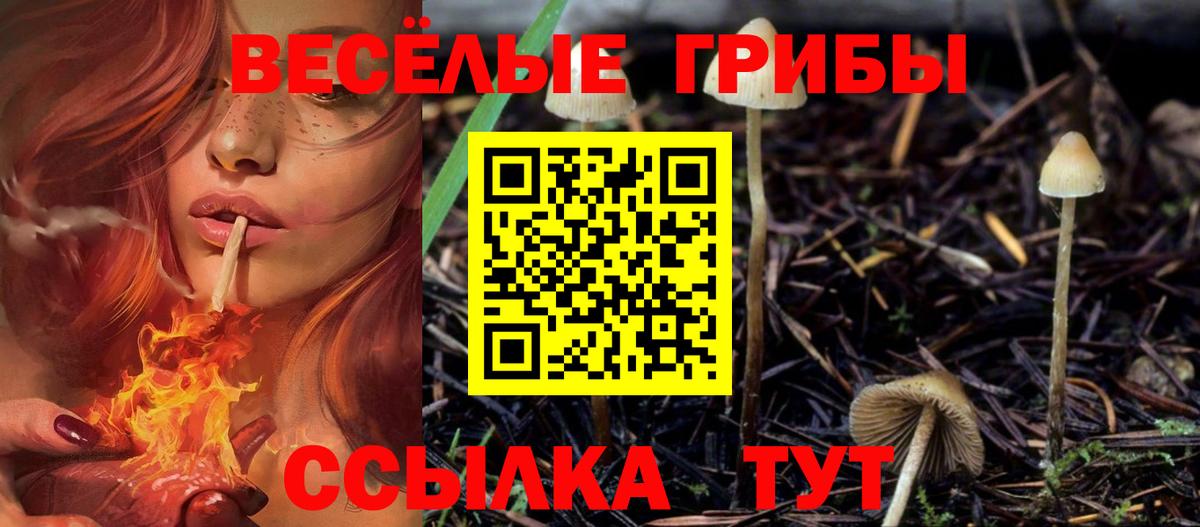 Галлюциногенные грибы мухоморы Кандалакша