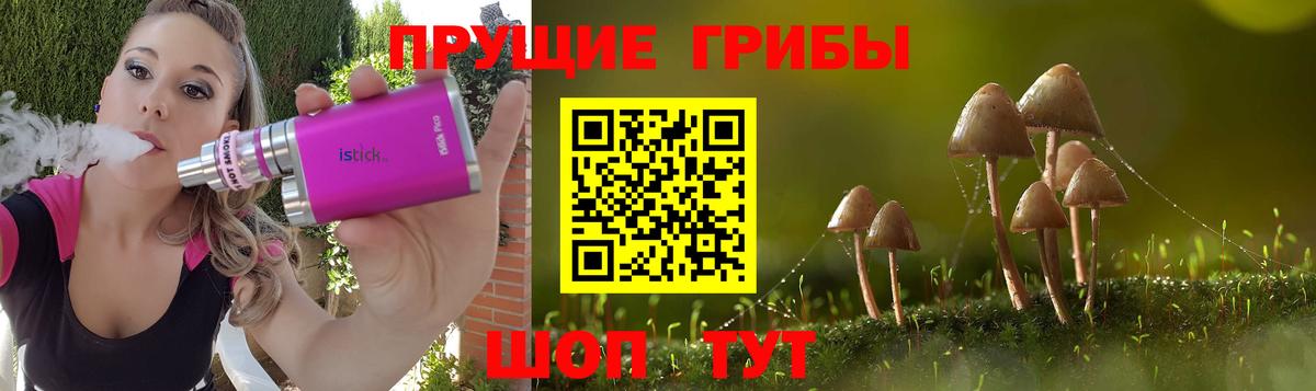 Кандалакша  Псилоцибиновые грибы прущие грибы  Вход с VPN 