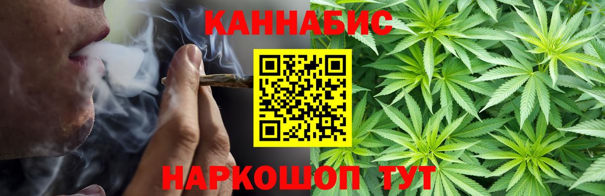 Кандалакша  Каннабис сатива  Вход с VPN  Бошки Шишки конопля  Конопля конопля 